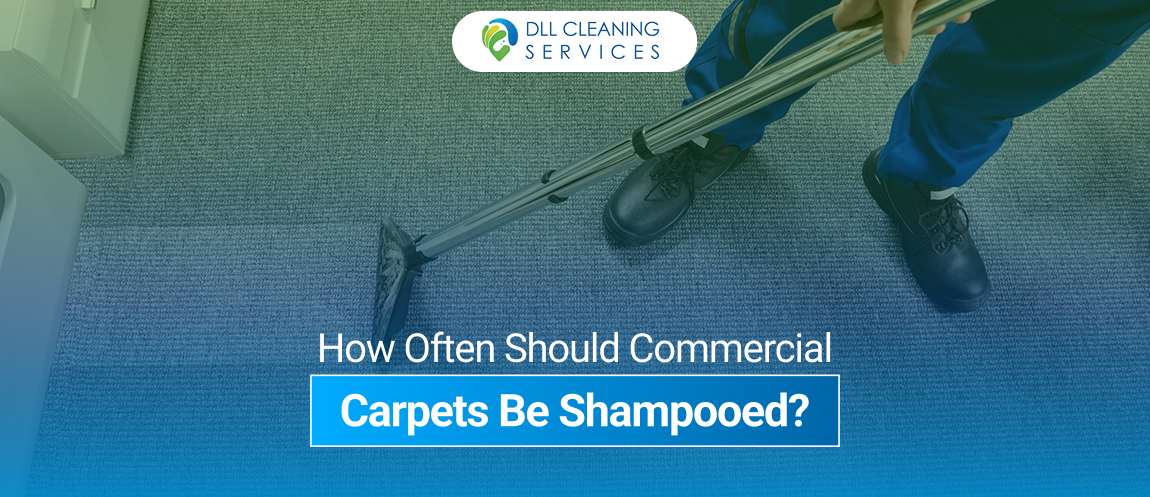 How Often Should Commercial Carpets Be Shampooed