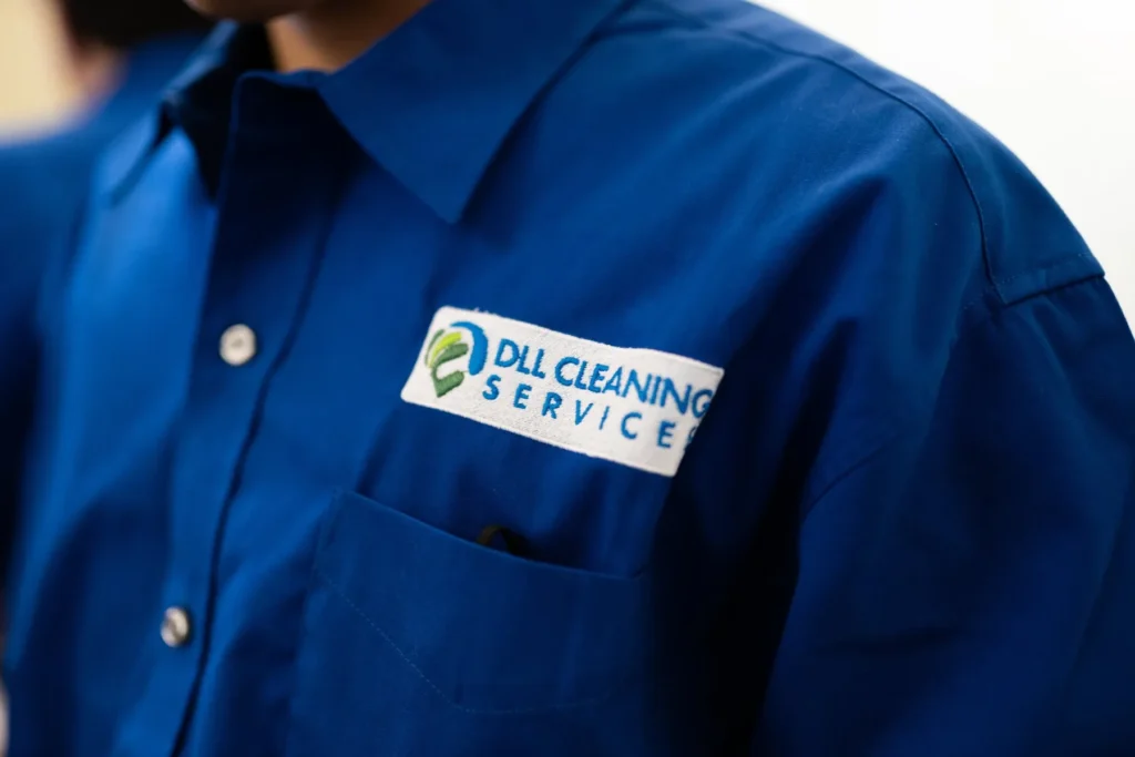 DLL cleaning services